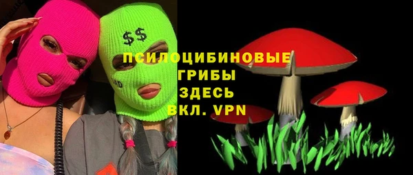 синтетический гашиш Арсеньев