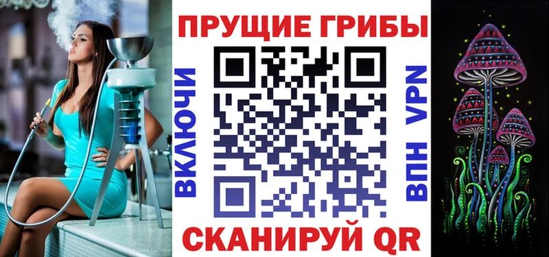 блэк спрут зеркало Приозерск Галлюциногенные грибы мицелий